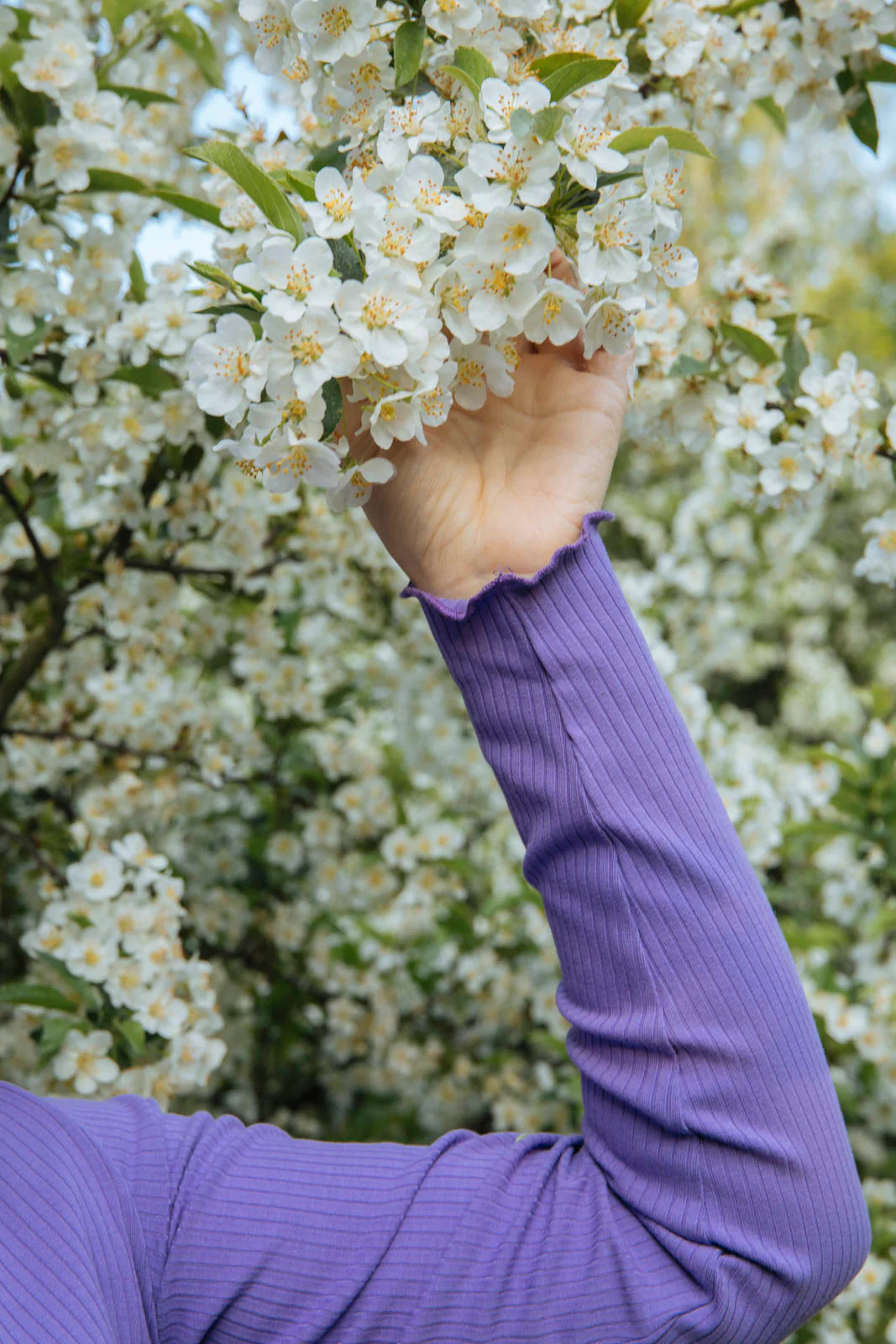 Rib Rollneck, Vivid Lavender - Image 4